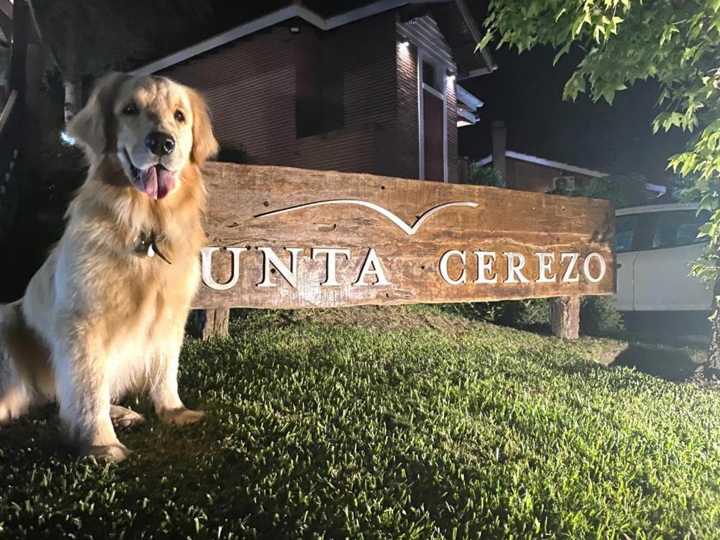 Punta Cerezo Apart Carilo Kültér fotó